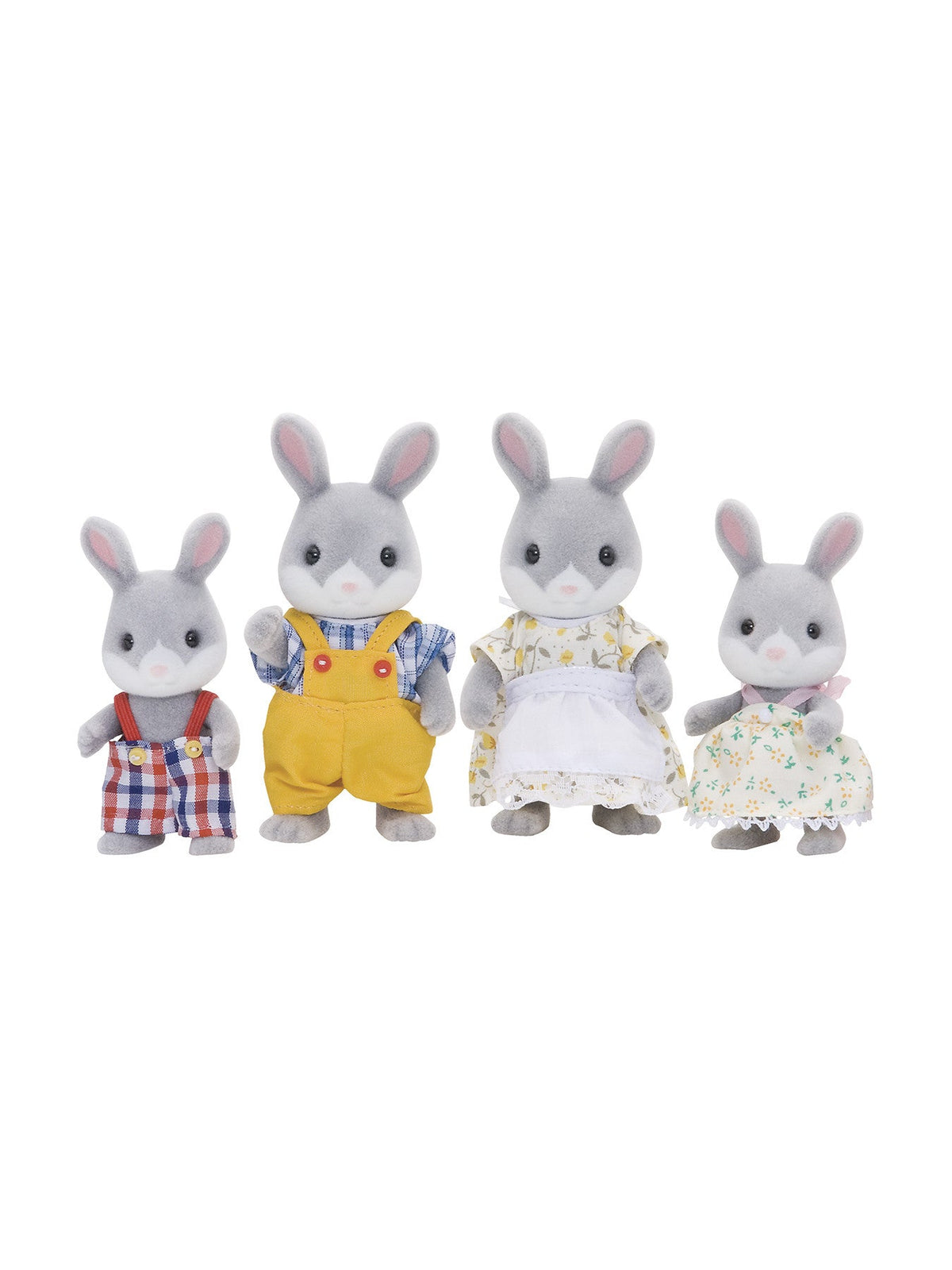 Cottontail Rabbit Family
