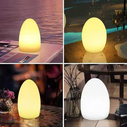 Egg Shaped LED Night Light with Remote Control