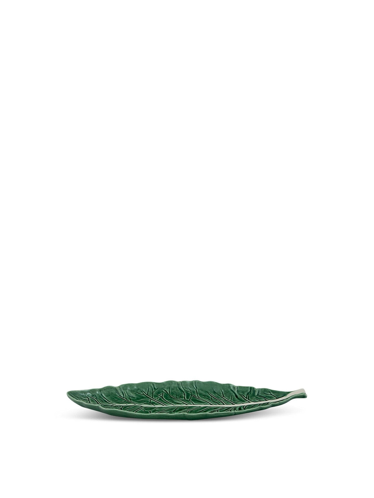 Cabbage Leaf
