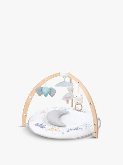 Play Discover Activity Gym