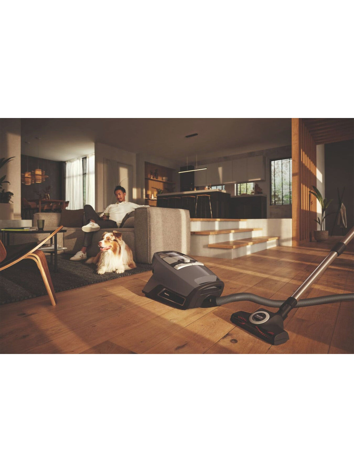 Blizzard CX1 Cat Dog Flex Bagless Vacuum Cleaner