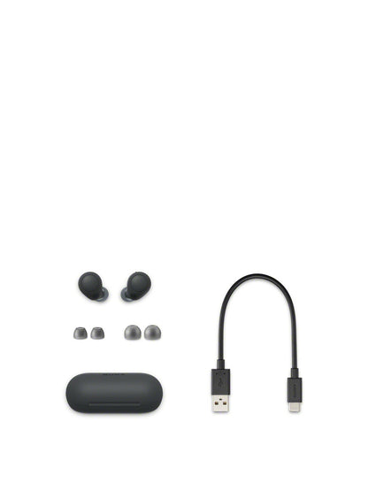 WFC700NB.CE7 Truly Wireless Noise Cancelling Headphones
