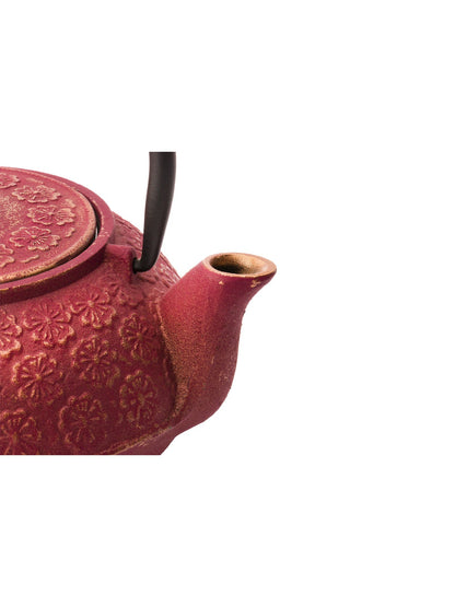 Shanghai Design Cast Iron Teapot with 2 Cups Gift Set