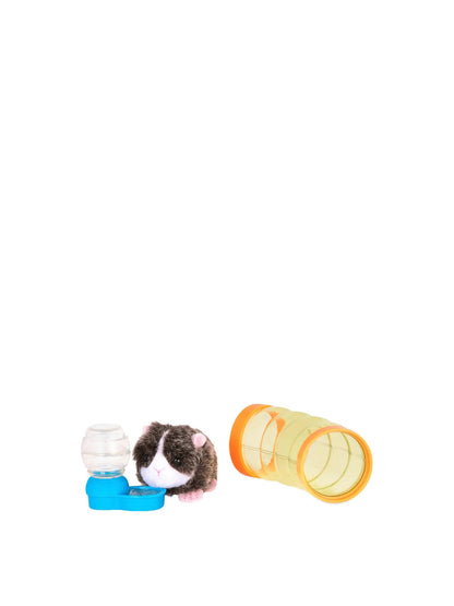 Pet Guinea Pig Set