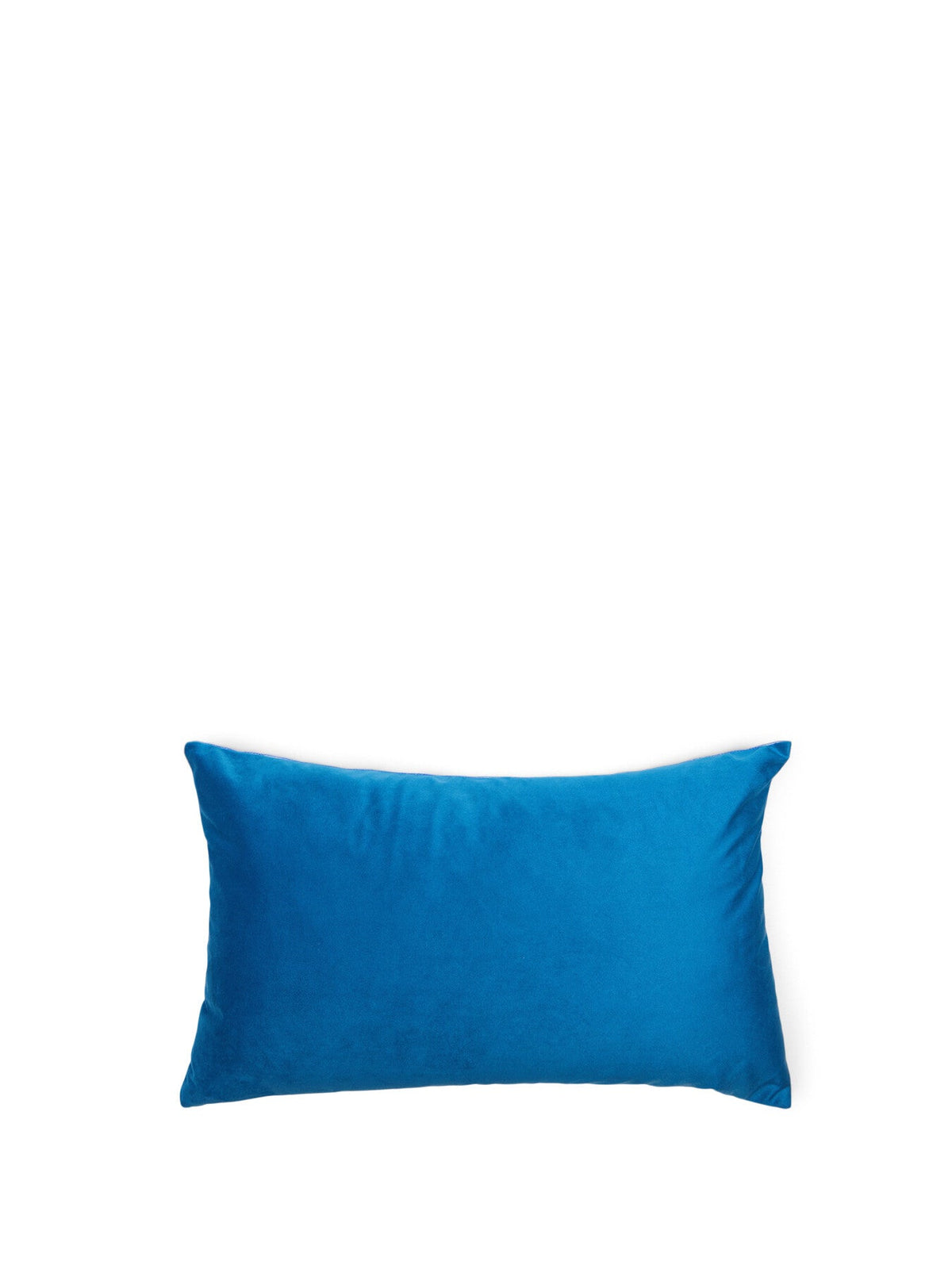 The House Party Cushion