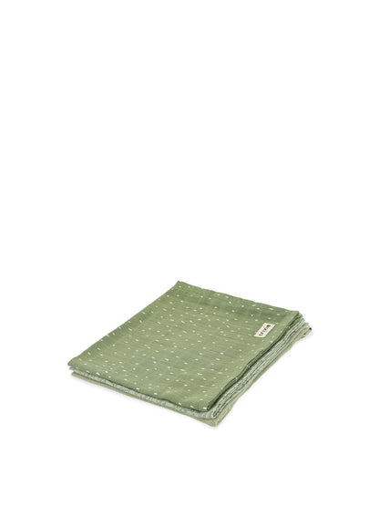 Muslin cloths 3-pack mix - Daring Dino