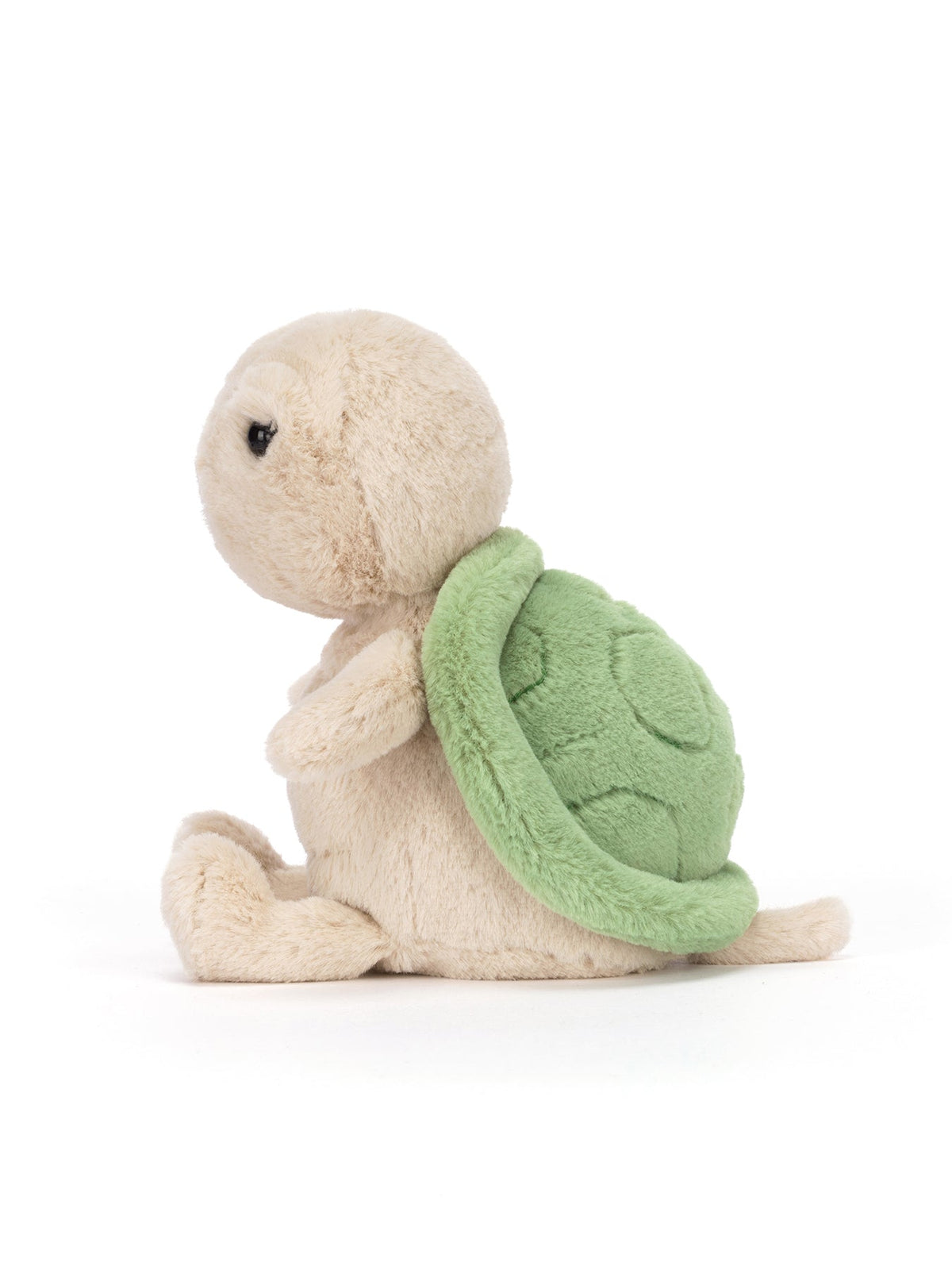 Thimble Turtle 16cm