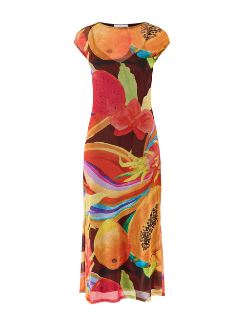 Rio Mesh Midi Dress Multi