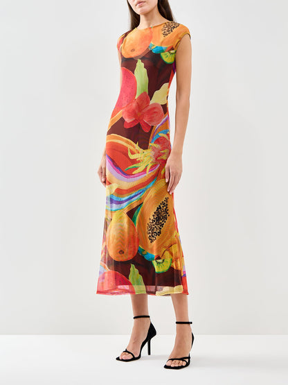 Rio Mesh Midi Dress Multi