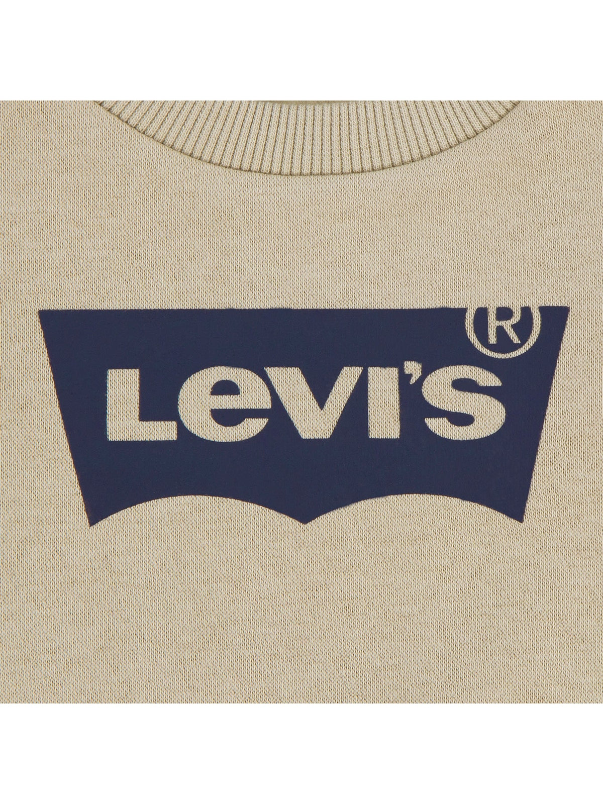 Baby Levi's Batwing Crew Sweatshirt Tan