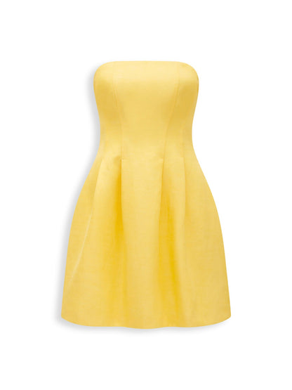 Shayla Strapless Mini Dress